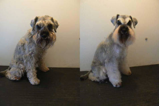 rubybeforeandafter.jpg